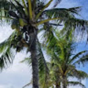 Meet your Posher, Shanita